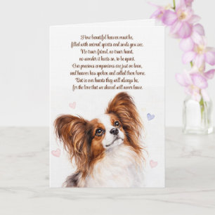 Carte Papillon de sympathie Papillon Chien Papillon