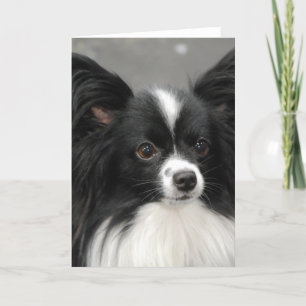 Carte Papillon Dog  Note Card