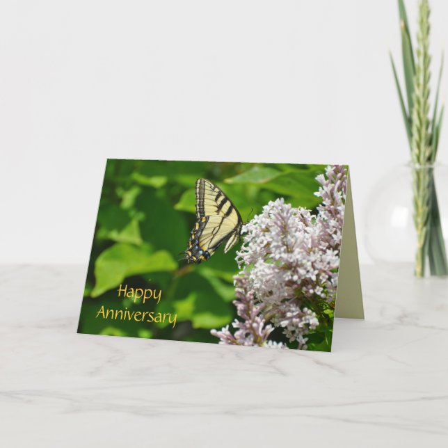 Carte papillon du bon anniversaire par Janz (Devant)
