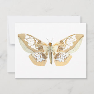 Carte Papillon GlassWing