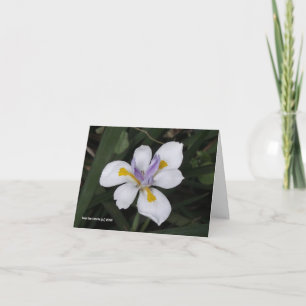 Carte Papillon iris
