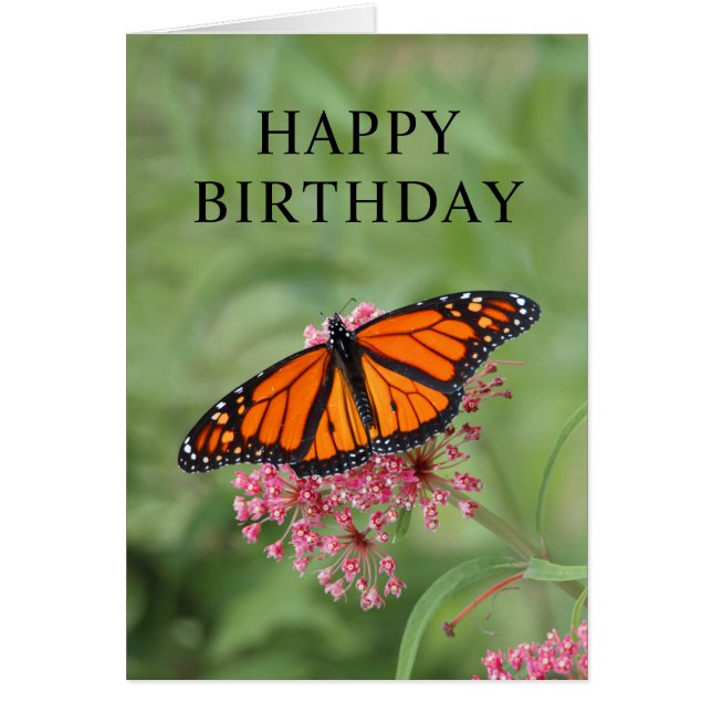 Carte papillon Monarch (Devant)