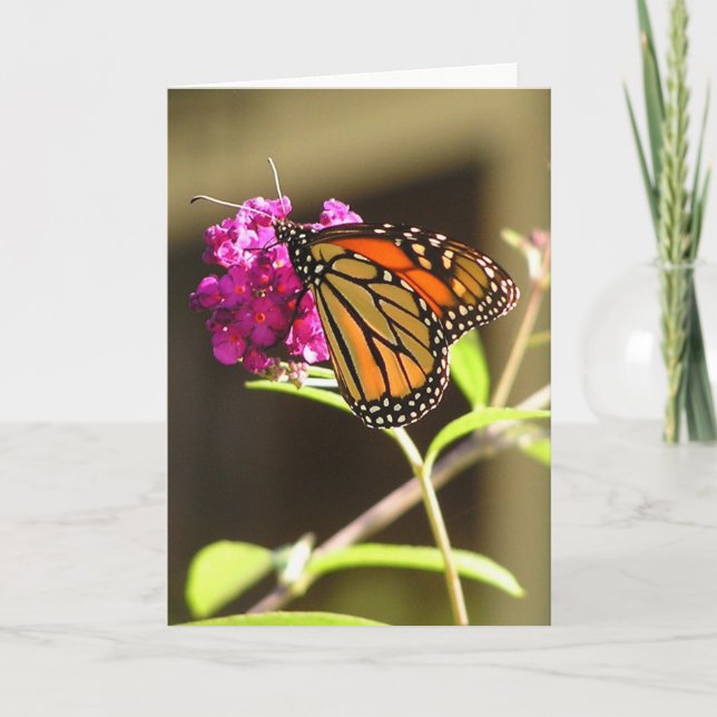 Carte Papillon monarque (Devant)