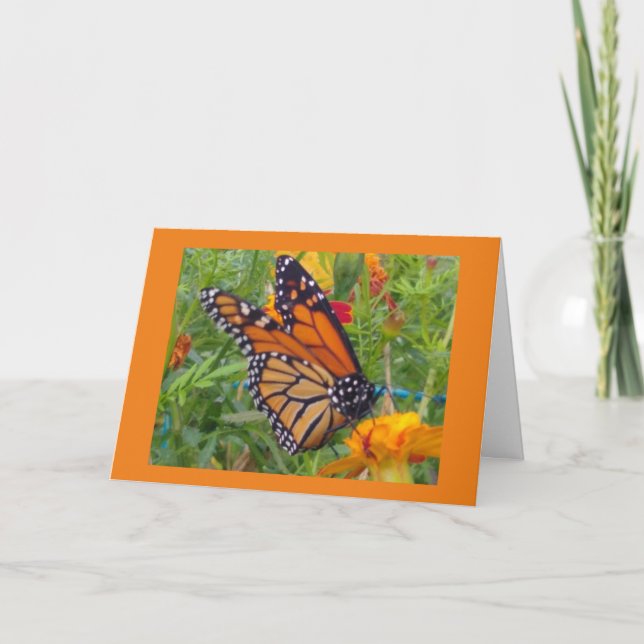 Carte Papillon monarque (Devant)