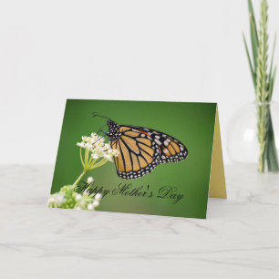 Carte Papillon Monarque de la Fête des Mères sur le légu
