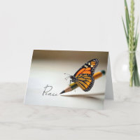 Papillon Monarque de Sympathie sur un Crayon