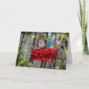 Carte Papillon monarque et Mantis de prière sur la Zinni