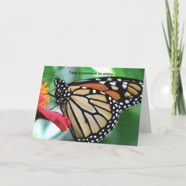Carte Papillon Monarque pour les amoureux de la nature C (Devant)
