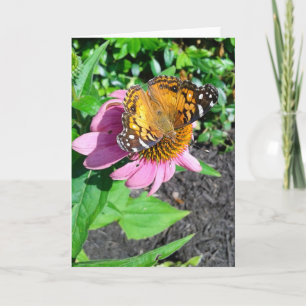 Carte Papillon monarque sur Echinacea Flower
