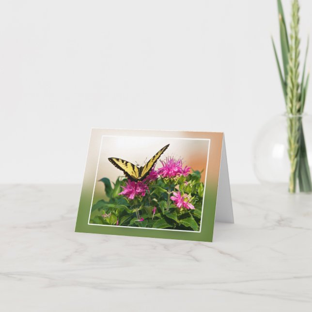 Carte Papillon oriental de machaon de tigre (Devant)