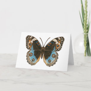 Carte Papillon Pansy Bleu