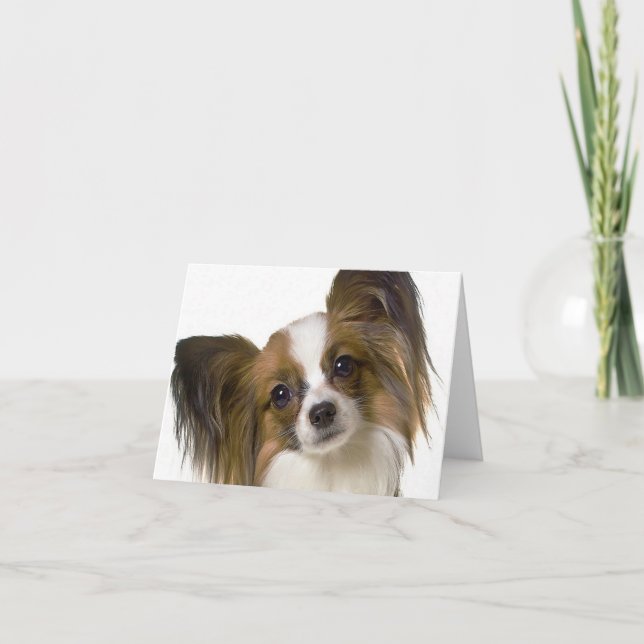 Carte papillon.png (Devant)