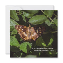 Papillon Poétique Merci pour l'Amitié