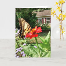 Papillon sur Fleur devant la maison - Vertical