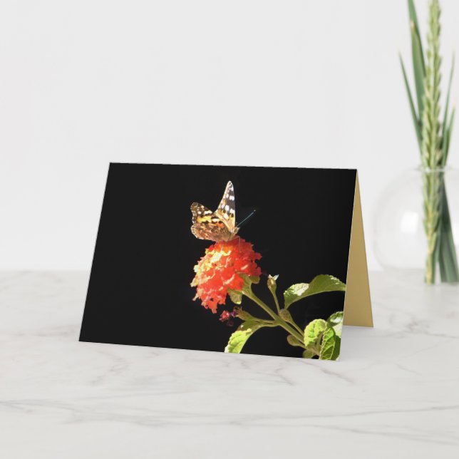 Carte Papillon sur Fleur orange, Blank Inside Greeting (Devant)