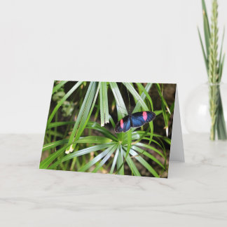 Carte Papillon sur la feuille