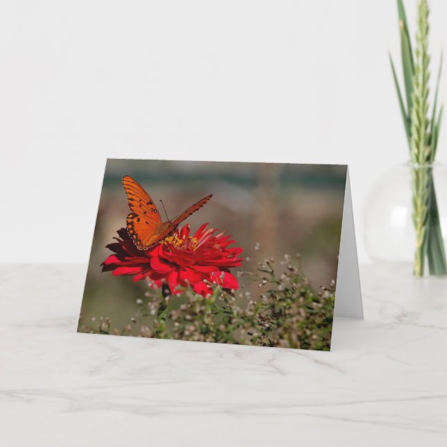 Carte Papillon sur la fleur (Devant)