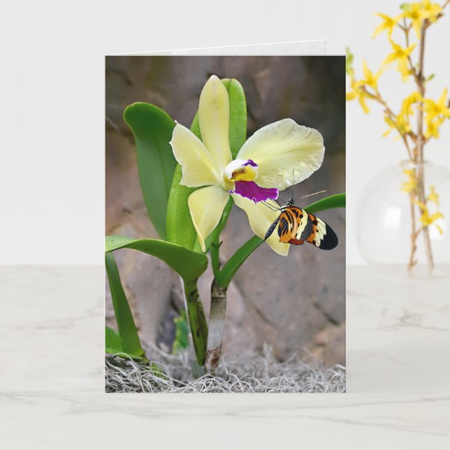 Carte Papillon sur la fleur d'orchidée (Fleur jaune)