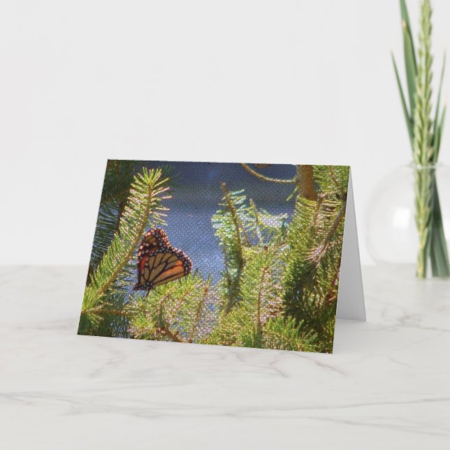 Carte Papillon sur la toile de l'arbre des pins (Devant)