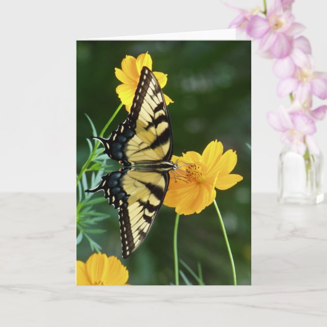 Carte Papillon Swallowtail sur Fleur Cosmos Jaune (Orchidée)