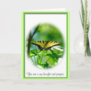 Carte Papillon Sympathie