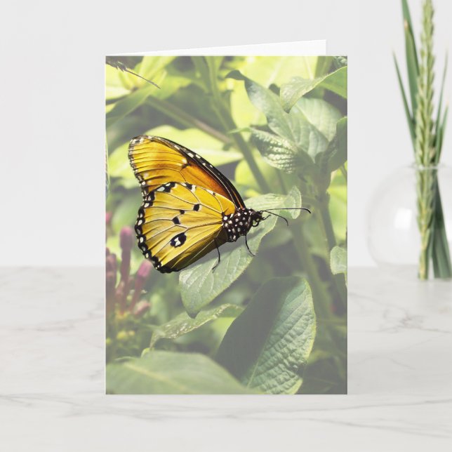 Carte Papillon Tiger clair (Devant)