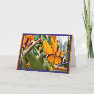 Carte Papillon Tigre ordinaire