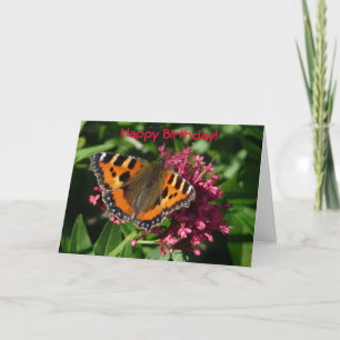 Carte Papillon Tortoiseshell