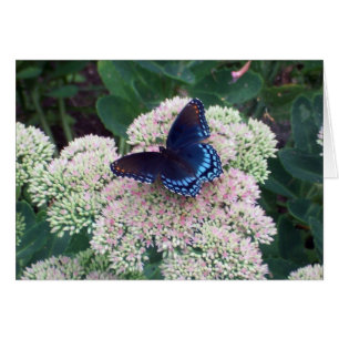 Carte Papillon - Vide à l'intérieur
