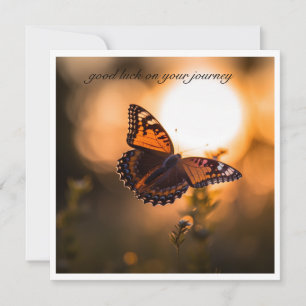 Carte Papillon volant au coucher du soleil, personnalisa