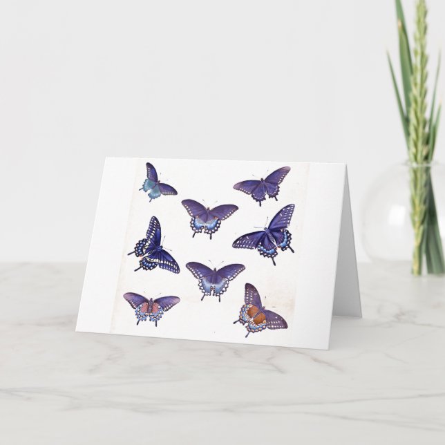 Carte Papillons bleus vintages Illustration Art (Devant)