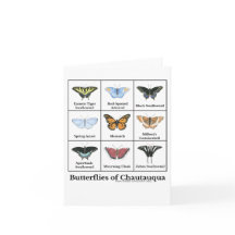 Papillons de Chautauqua 
