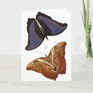 Carte Papillons vintages Vieux livre Illustration