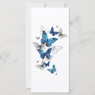 Carte Papillons volants bleus Morpho