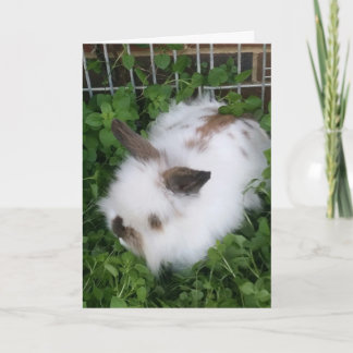 Carte Pâques Bunny Fluffy