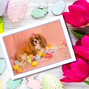 Carte Pâques Chiot Cavalier King Charles Spaniel