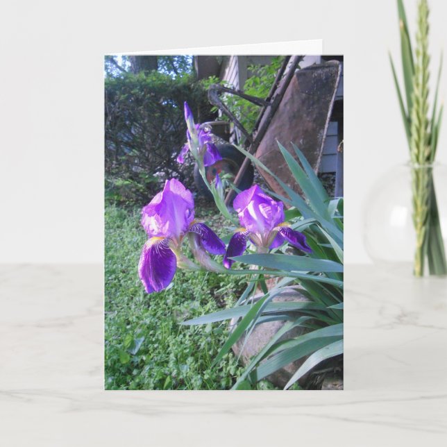 Carte Pâques "Purple Iris" (Devant)