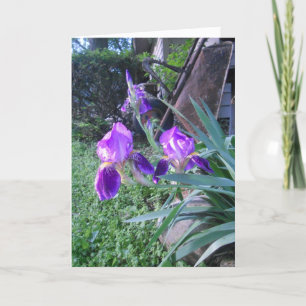 Carte Pâques "Purple Iris"