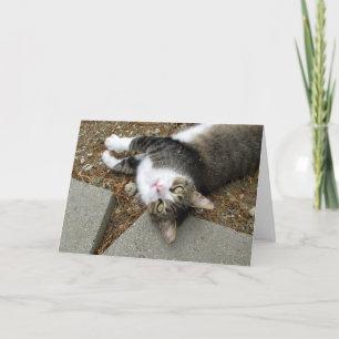 Carte Pâques Tabby Cat Updown