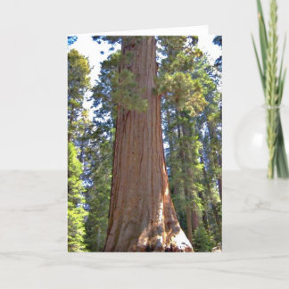Carte Parc national de Sequoia