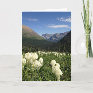 Carte Parc national du Glacier de l'Herbe Bear