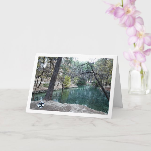 Carte Parc San Vicente, Lliria, Valence, Espagne (Orchidée)