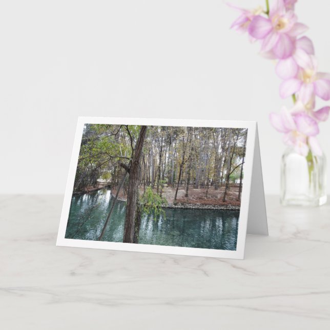 Carte Parc San Vicente, Lliria, Valence, Espagne (Orchidée)