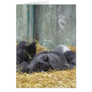 Carte paresseuse de gorille