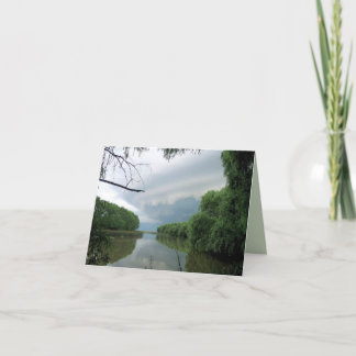 Carte Parfois une tempête de dépassement…