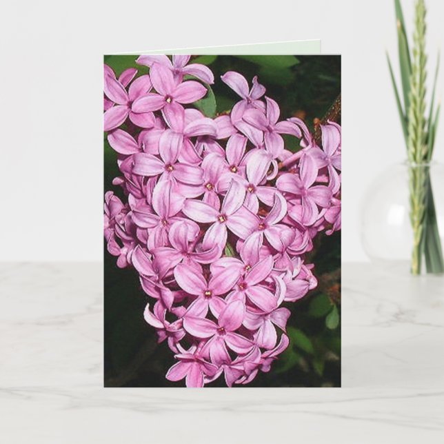 Carte Parfum de LIlacs (Devant)