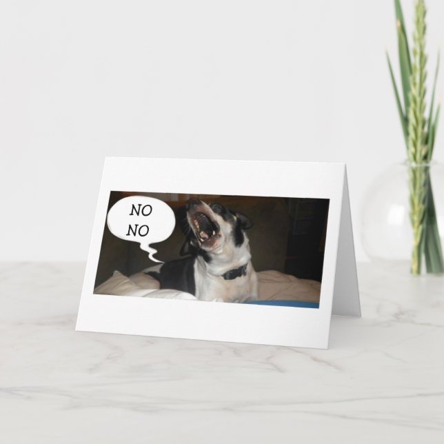 CARTE PARLER DE L'HUMOUR DE BASSETT HOUND - ANNIVERSAIRE (Devant)