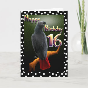 Carte Parrot African Grey bird polka point 16 Anniversai