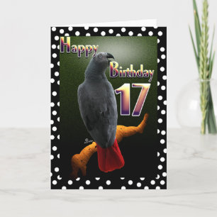 Carte Parrot African Grey bird polka point 17 Anniversai