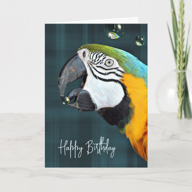 Carte Parrot de Macaw avec bulles Anniversaire (Devant)